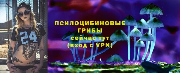 apvp Вязники